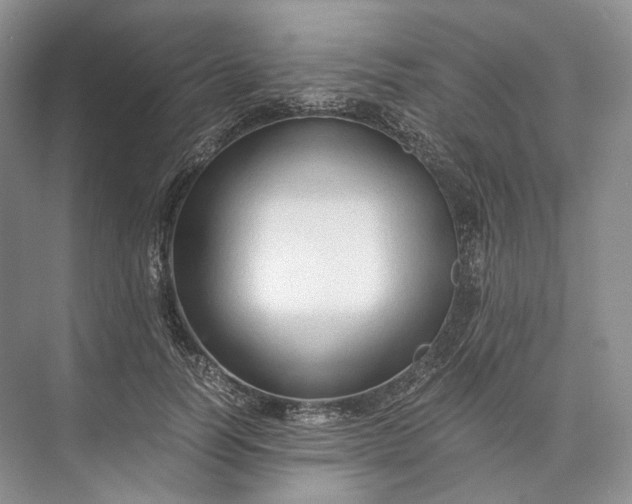 X0000073490746200608140842