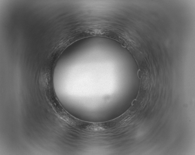 X0000073490747200608140842