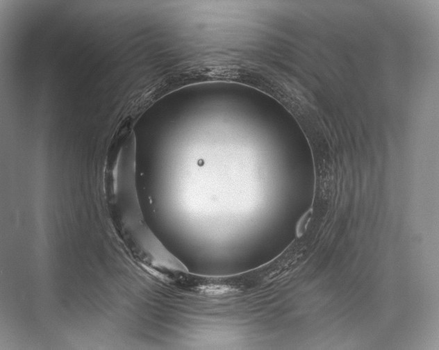 X0000073490748200608140842