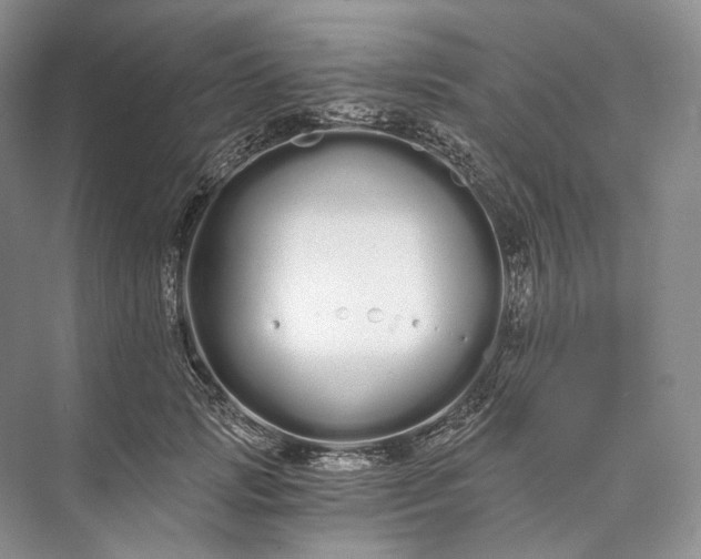 X0000073490749200608140842