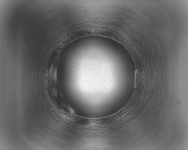 X0000073490750200608140842