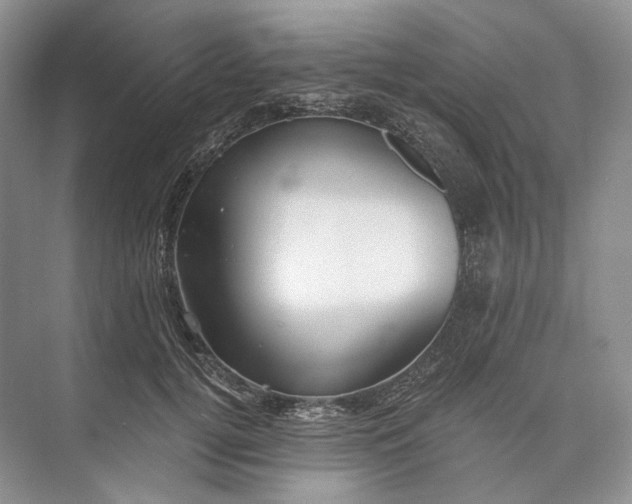 X0000073490752200608140842