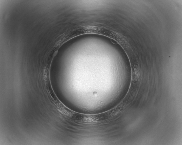 X0000073490753200608140842