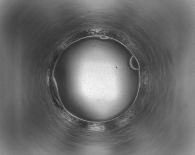 X0000073490754200608140842