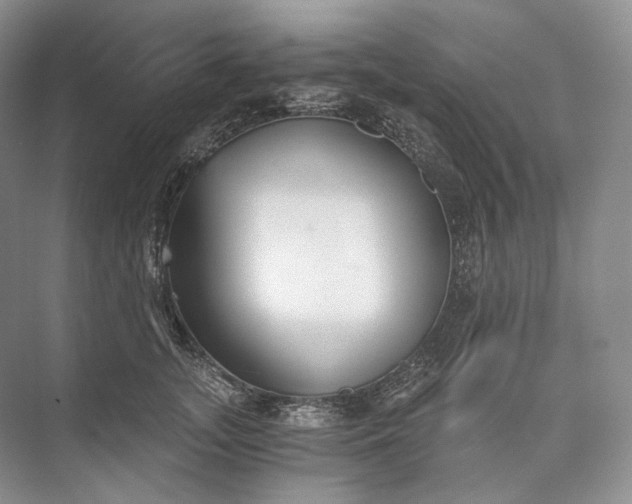 X0000073490755200608140842