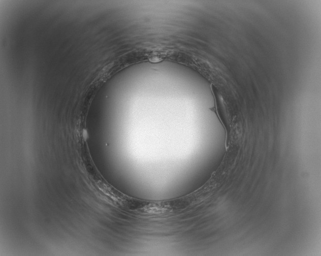 X0000073490756200608140842