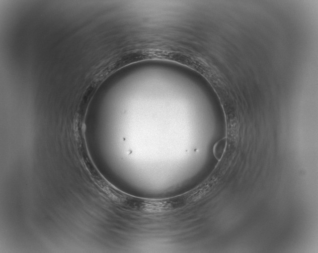 X0000073490757200608140842