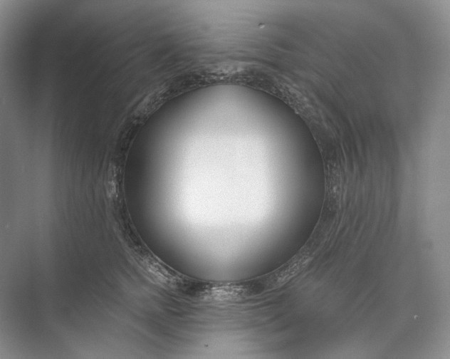 X0000073490758200608140842