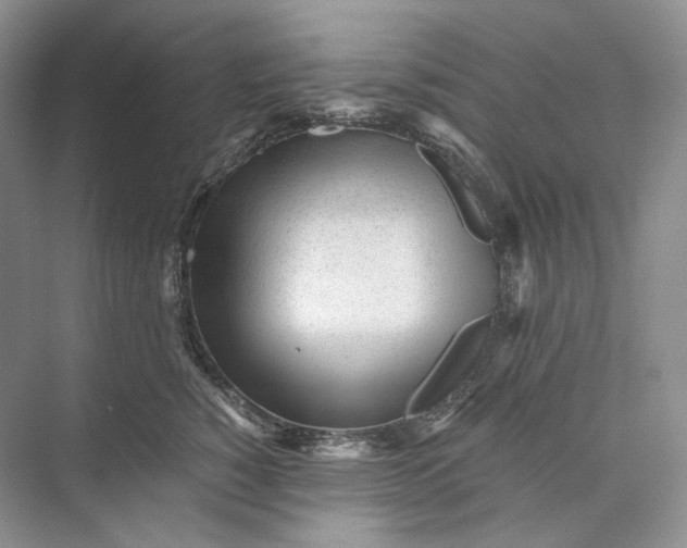 X0000073490760200608140842