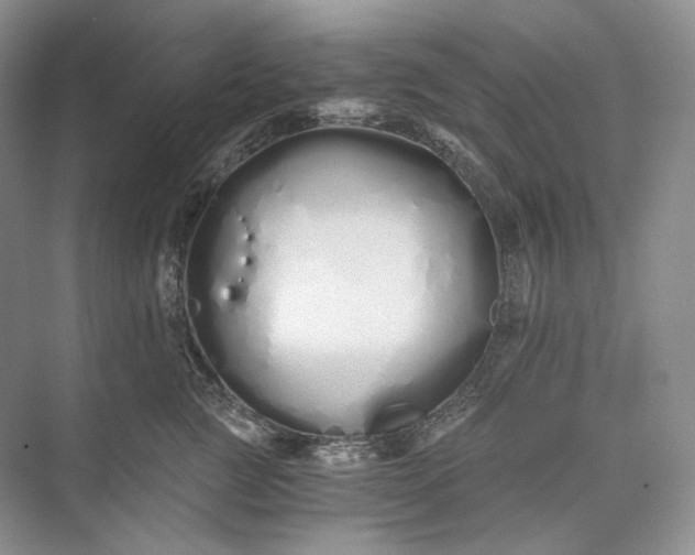 X0000073490761200608140842