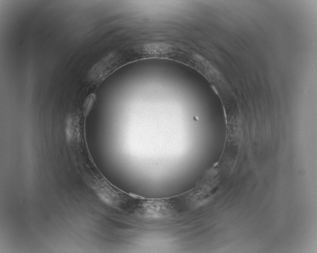 X0000073490762200608140842