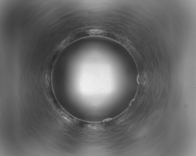 X0000073490763200608140842