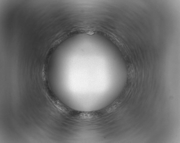 X0000073490764200608140842