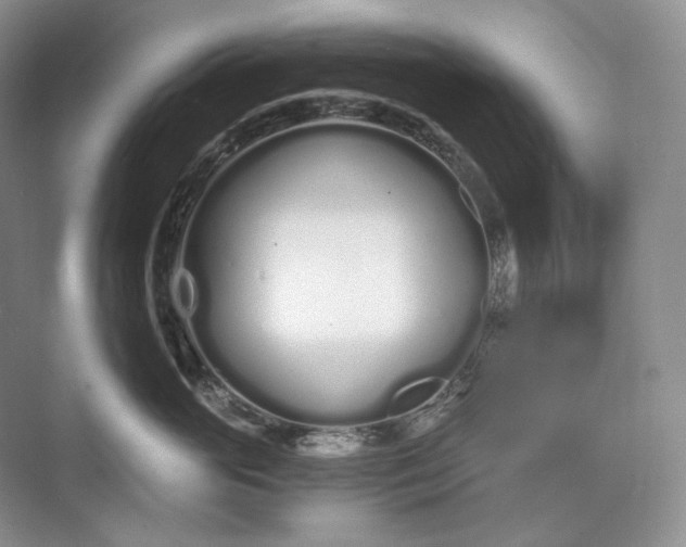 X0000073490765200608140842