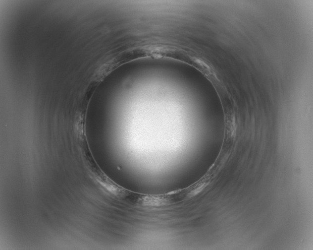 X0000073490766200608140842