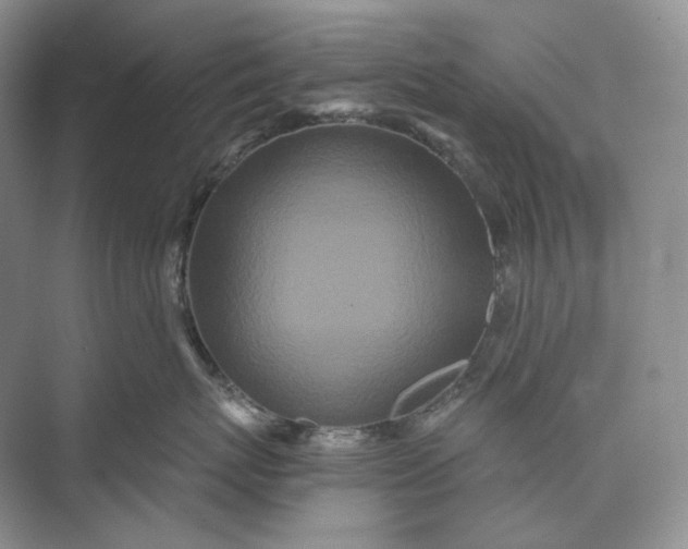 X0000073490767200608140842