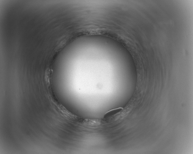 X0000073490768200608140842