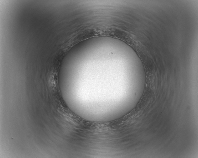 X0000073490770200608140841