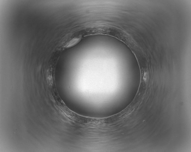 X0000073490771200608140841