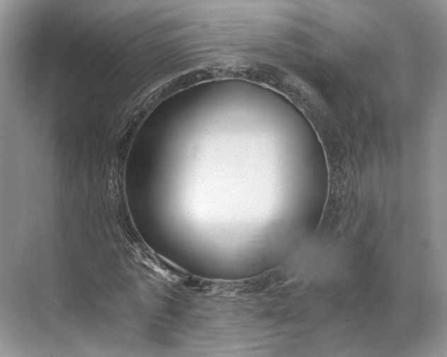 X0000073490773200608140841