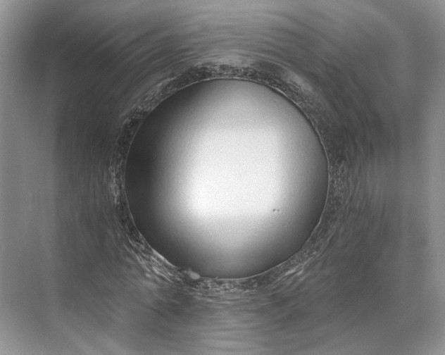 X0000073490774200608140841