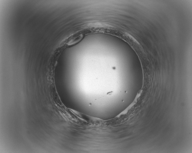 X0000073490775200608140841