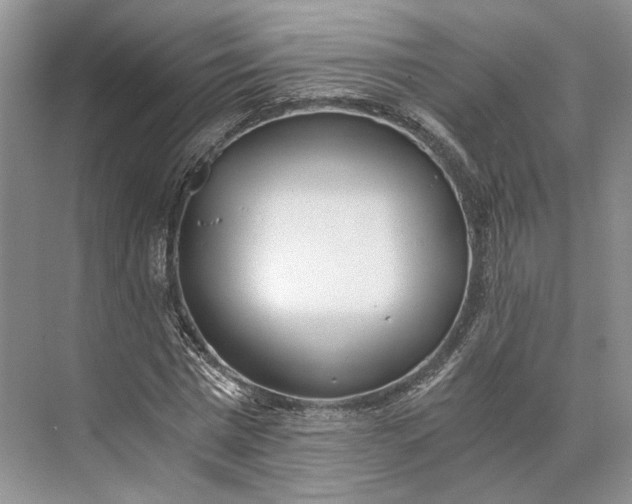 X0000073490777200608140841