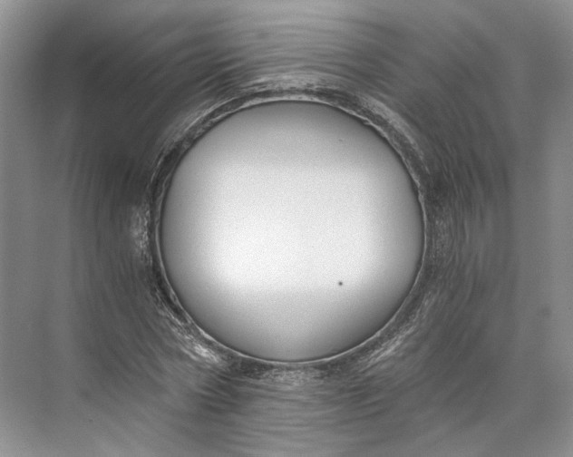 X0000073490778200608140841