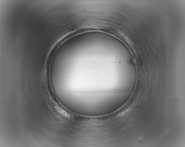 X0000073490779200608140841