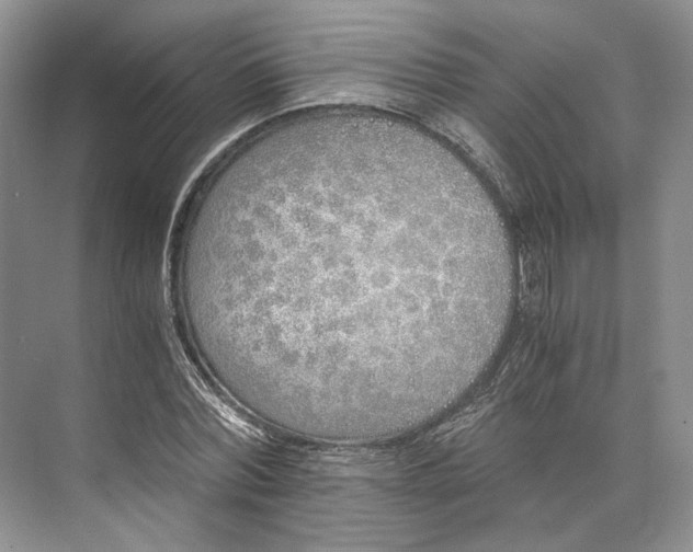 X0000073490780200608140841