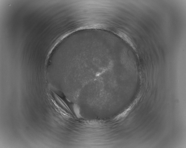 X0000073490781200608140841