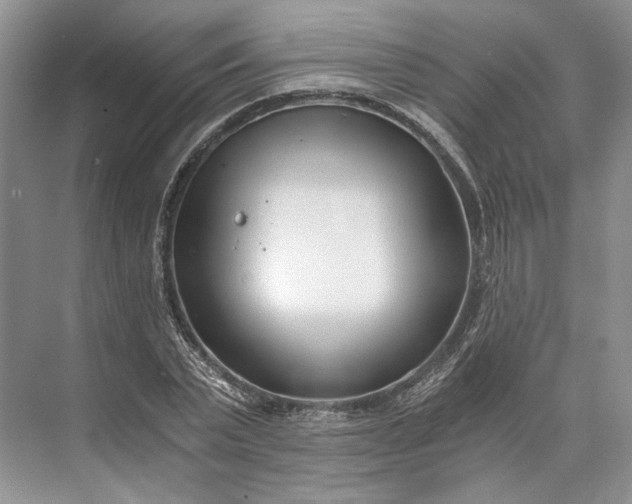 X0000073490783200608140841