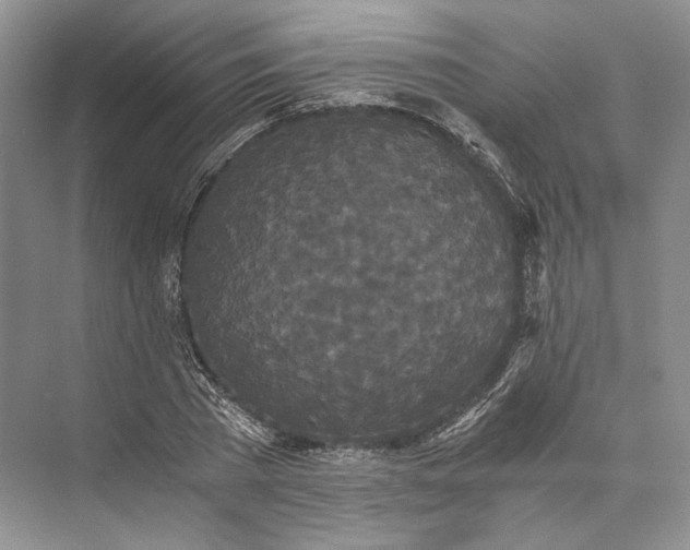 X0000073490785200608140841