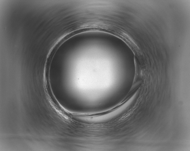 X0000073490788200608140841