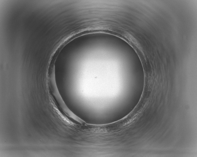 X0000073490789200608140841