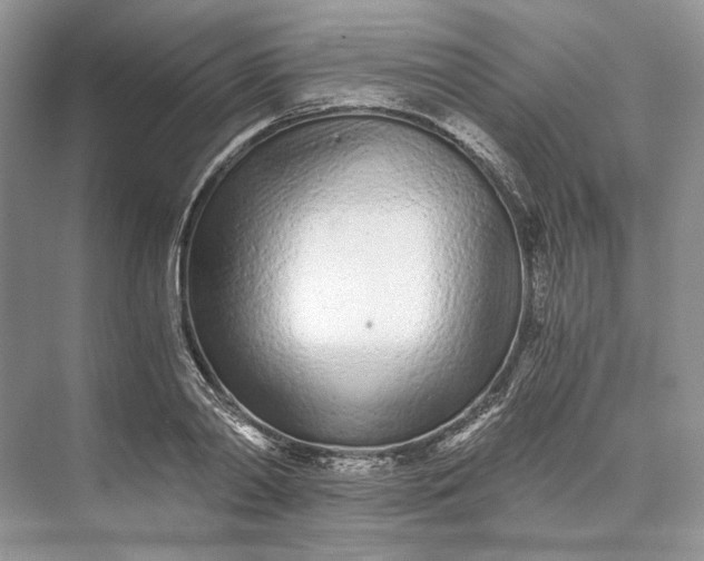 X0000073490790200608140841