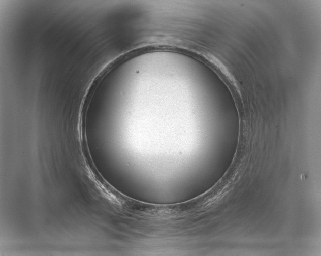 X0000073490791200608140841