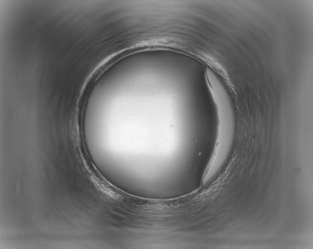 X0000073490792200608140841