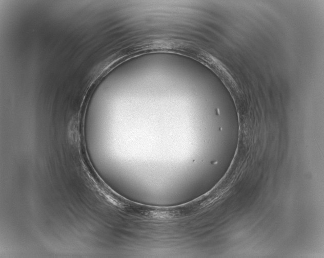 X0000073490794200608140841