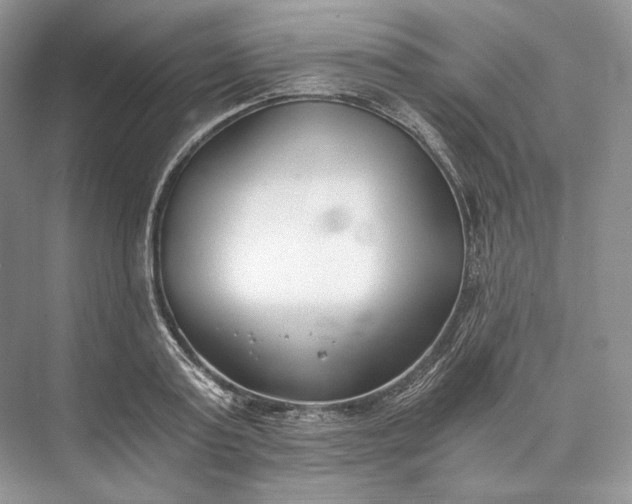 X0000073490795200608140841