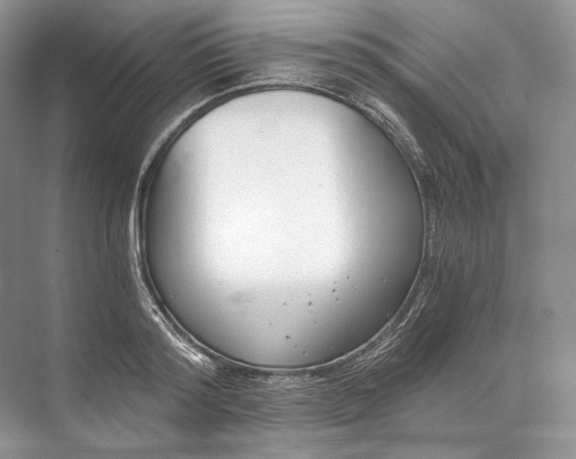 X0000073490796200608140841