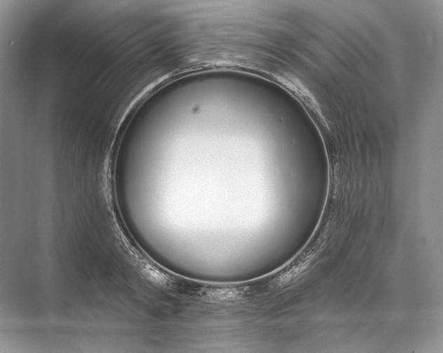 X0000073490798200608140841