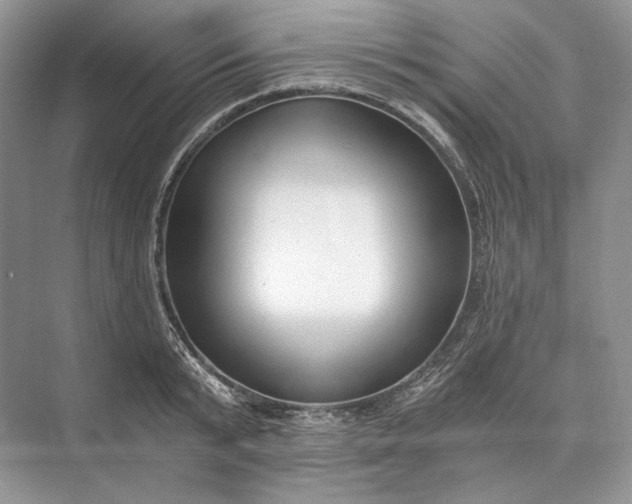 X0000073490799200608140841