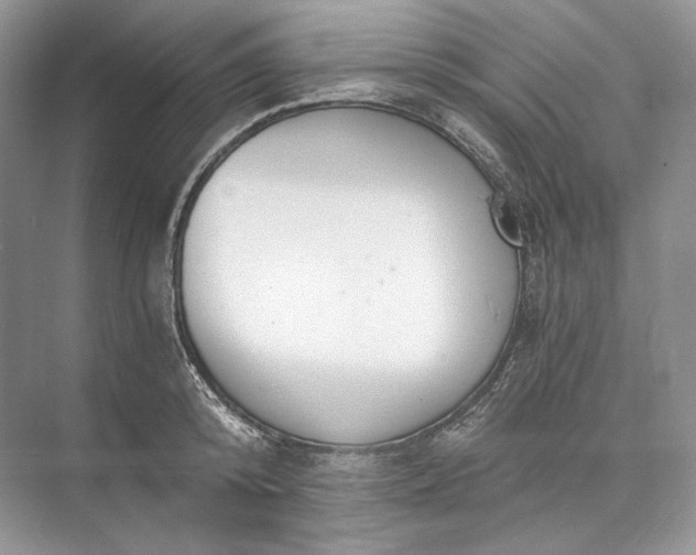 X0000073490800200608140841