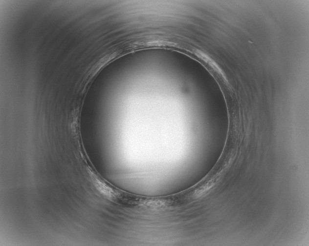 X0000073490801200608140841