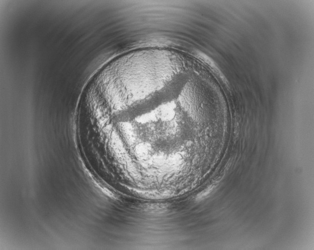 X0000073490802200608140841