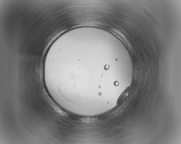 X0000073490804200608140841