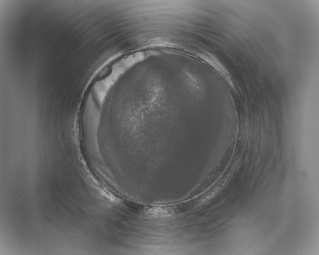 X0000073490806200608140841