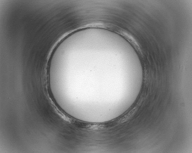 X0000073490808200608140840