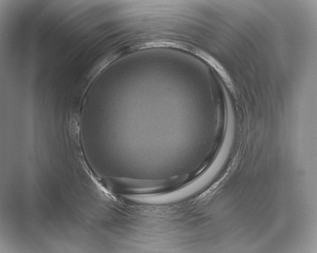 X0000073490809200608140840